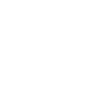 icons8-euro-100